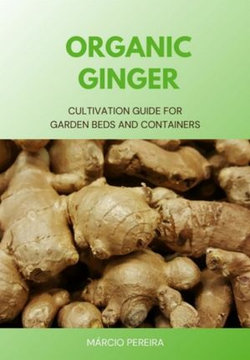 Organic Ginger