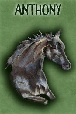 Watercolor Mustang Anthony