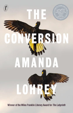 The Conversion The Conversion
