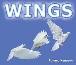 Rigby Literacy Emergent Level 1: Wings (Reading Level 1/F&P Level A)