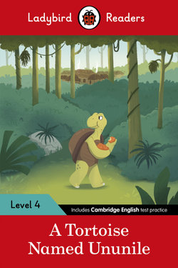 Tales from Africa: a Tortoise Named Ununile
