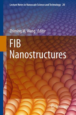 FIB Nanostructures FIB Nanostructures