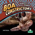 Boa Constrictors