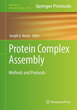 Protein Complex Assembly