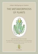 Metamorphosis of Plants