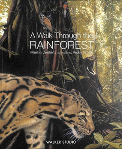 A Walk Through the Rainforest