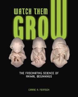 Watch Them Grow