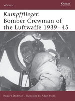 Kampfflieger