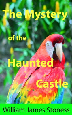 The Mystery of the Haunted Castle