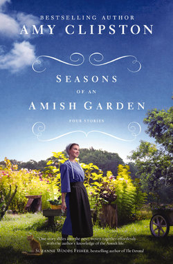 Seasons of an Amish Garden