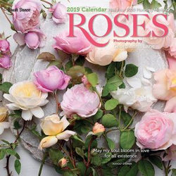 Roses 2019 Wall Calendar