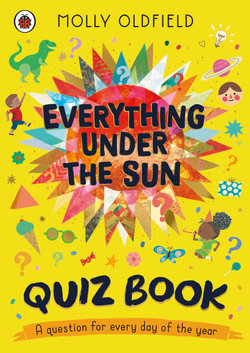 Everything under the Sun