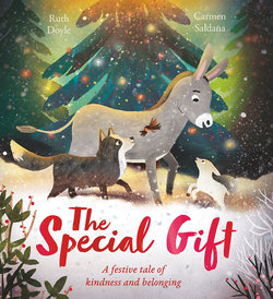 The Special Gift The Special Gift