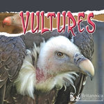 Vultures