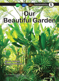 Our Beautiful Garden