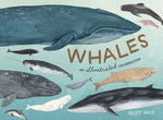 Whales Whales