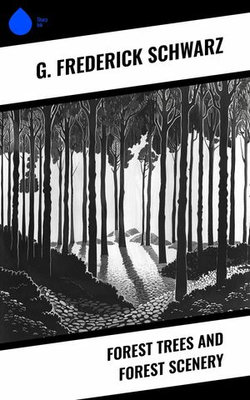 Forest Trees and Forest Scenery Forest Trees and Forest Scenery