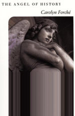 The Angel of History