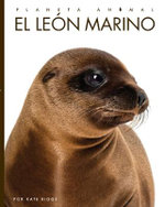 El león Marino