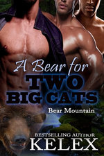 A Bear for Two Big Cats
