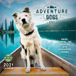 Adventure Dogs 2021 Wall Calendar