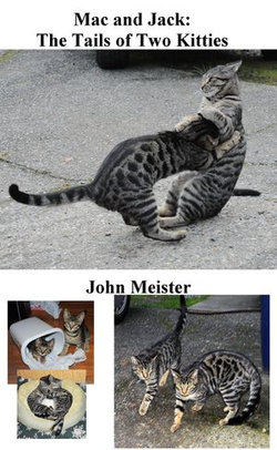 Mac and Jack: The Tails of Two Kitties, as Told by Snapshots