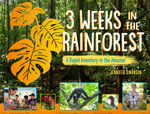 Three Weeks in the Rainforest