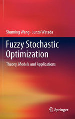 Fuzzy Stochastic Optimization