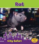 Rat