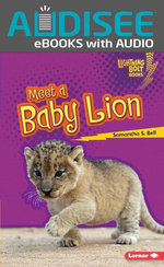 Meet a Baby Lion