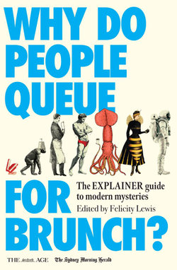 Why Do People Queue for Brunch? Why Do People Queue for Brunch?
