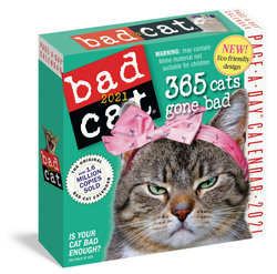 2021 Bad Cat Colour Page-A-Day Calendar