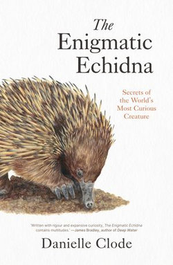 The Enigmatic Echidna