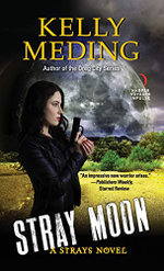 Stray Moon