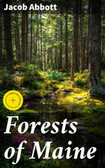Forests of Maine