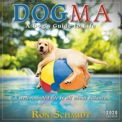 Dogma 2020 Calendar