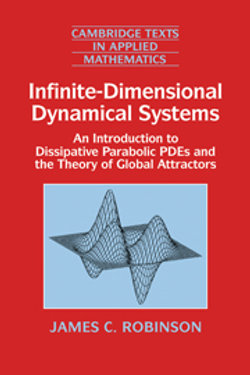 Infinite-Dimensional Dynamical Systems