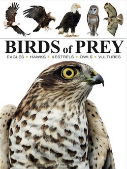 Birds of Prey Birds of Prey