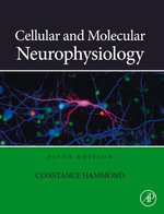 Cellular and Molecular Neurophysiology Cellular and Molecular Neurophysiology