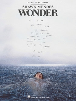 Shawn Mendes - Wonder Shawn Mendes - Wonder