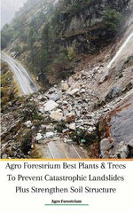 Agro Forestrium Best Plants & Trees To Prevent Catastrophic Landslides Plus Strengthen Soil Structure