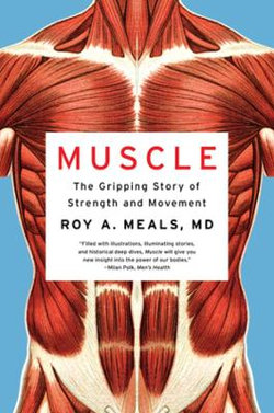 Muscle