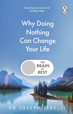 The Brain at Rest