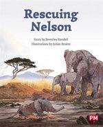 Rescuing Nelson