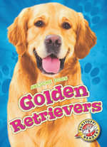 Golden Retrievers