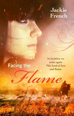 Facing the Flame