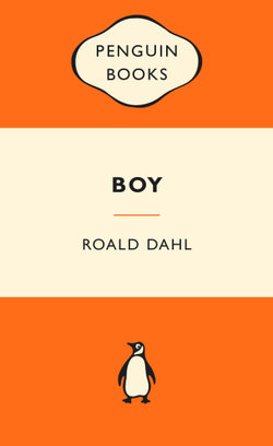 Boy: Popular Penguins