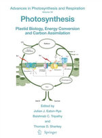 Photosynthesis