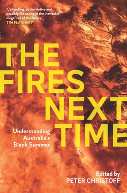 The Fires Next Time