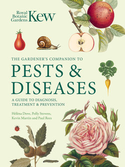 Gardener's Companion to Pests and Diseases